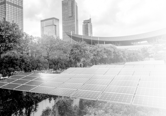 Madbury---Page-Images